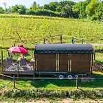 Weinbergsauna * Grossweingarten