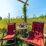 Weinbergsauna