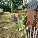 Weinbergsauna *