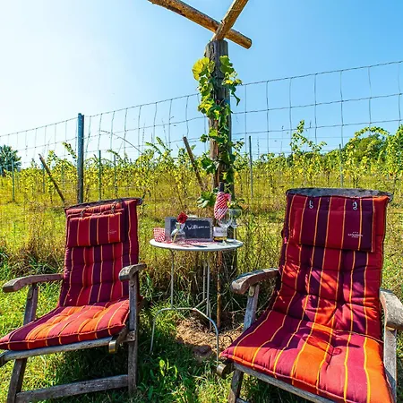 Weinbergsauna