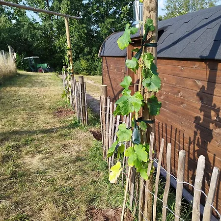 Weinbergsauna فندق