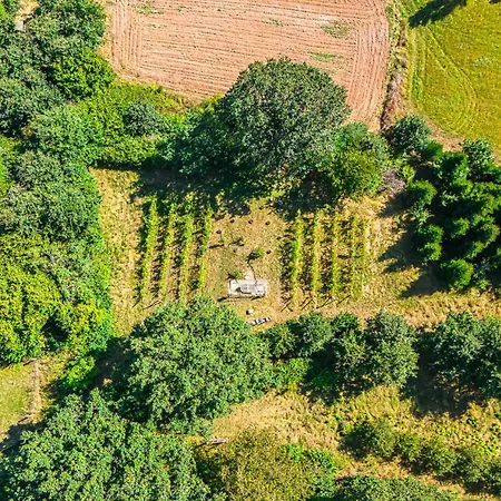 Weinbergsauna * Grossweingarten
