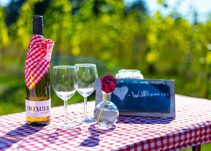 Weinbergsauna Отель