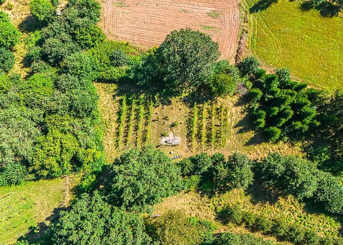Отель Weinbergsauna *